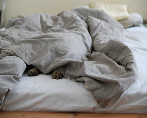 Man resting safely in comfortable home environment